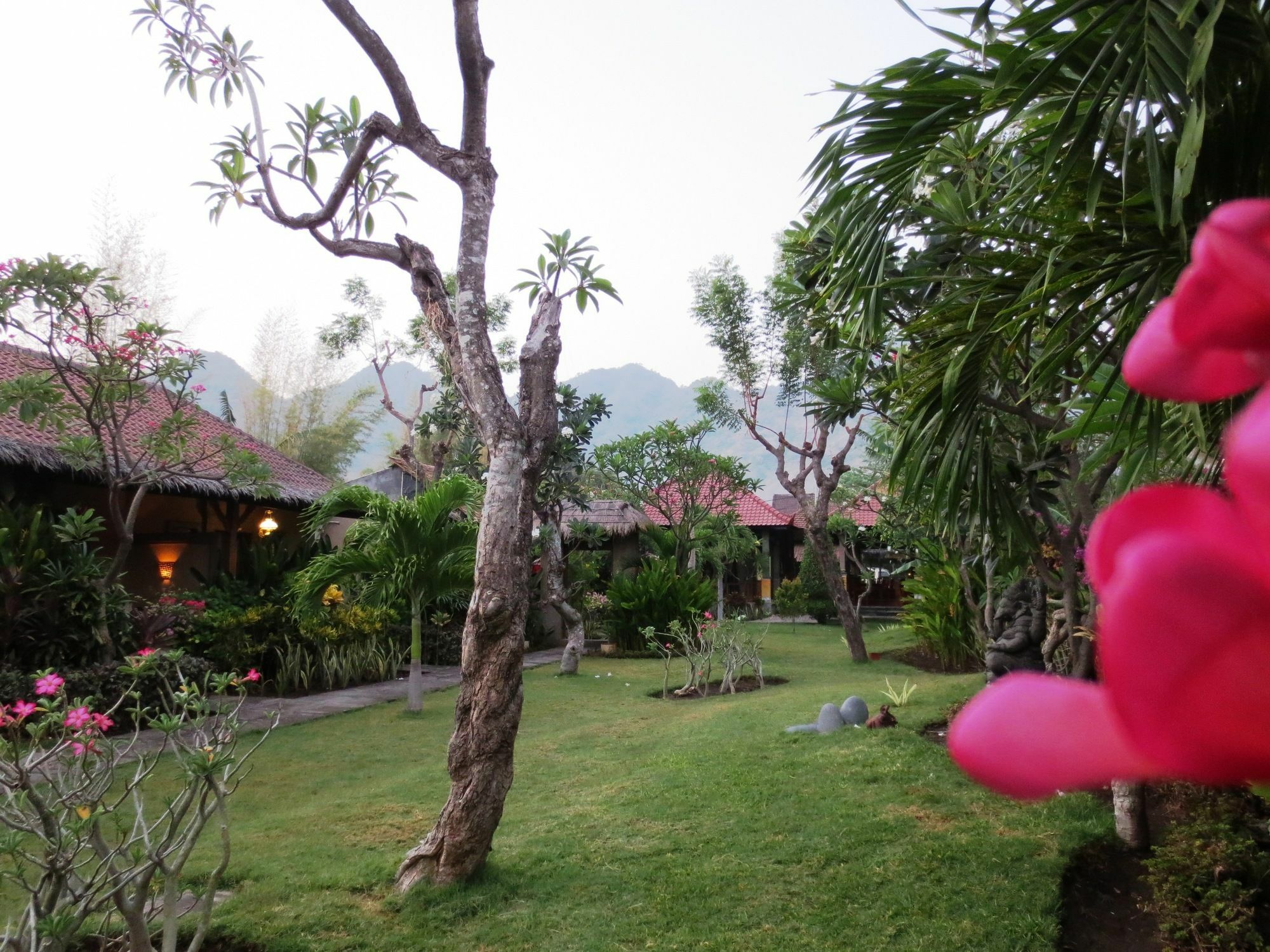 Taruna Boutique Homestay & Spa Pemuteran  Bagian luar foto